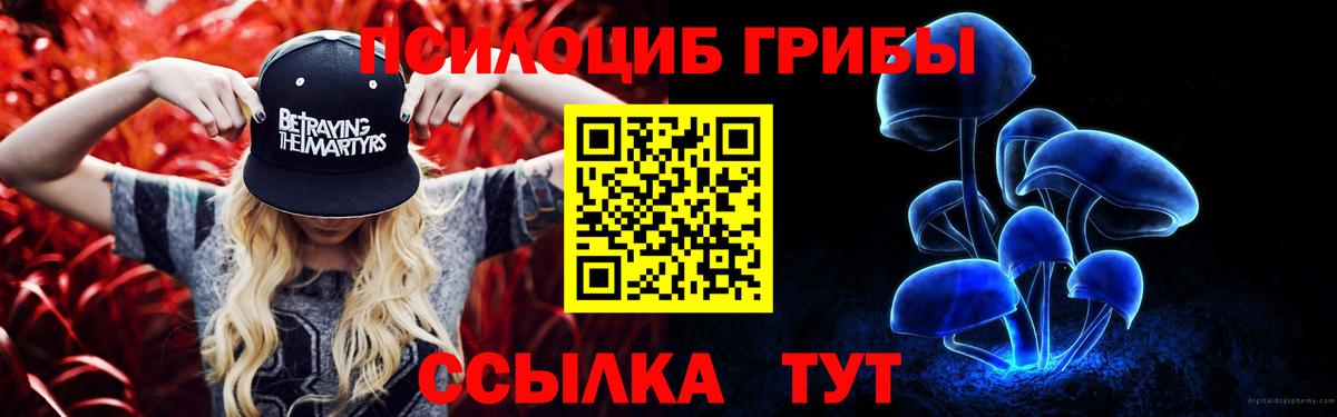 Псилоцибиновые грибы Psilocybine cubensis Новокубанск